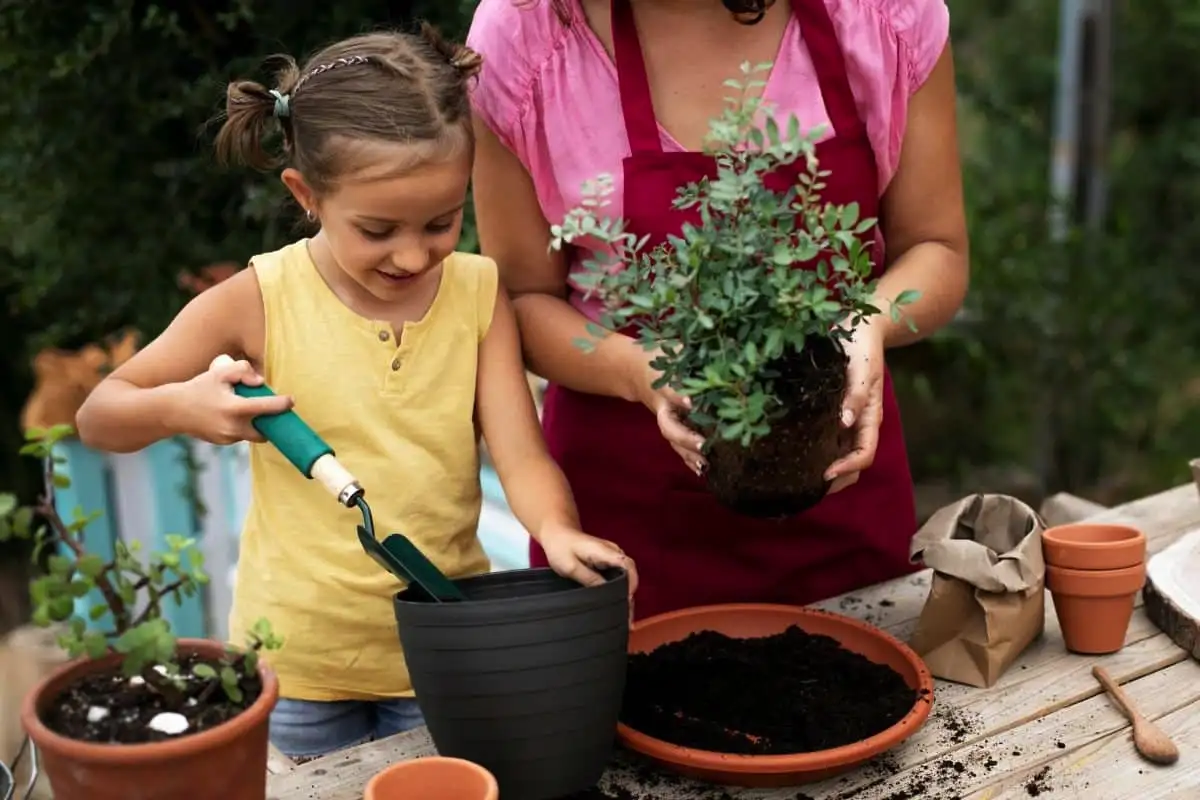 Kasvit, jotka lannoittavat itse itsensä: tutkijat löysivät luonnollisen korvikkeen kemiallisille lannoitteille