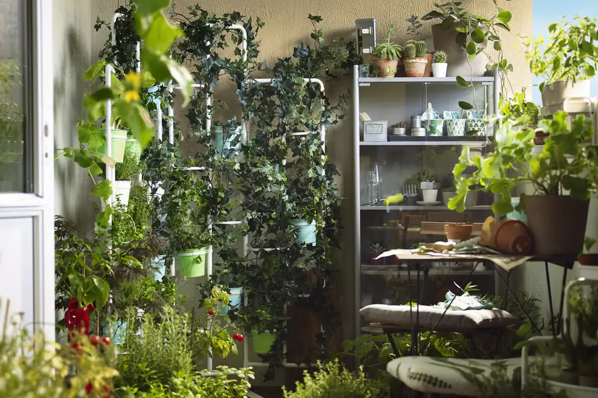 Luonnonkulma kotiin – näin luot rauhoittavan viheralueen pienellä vaivalla