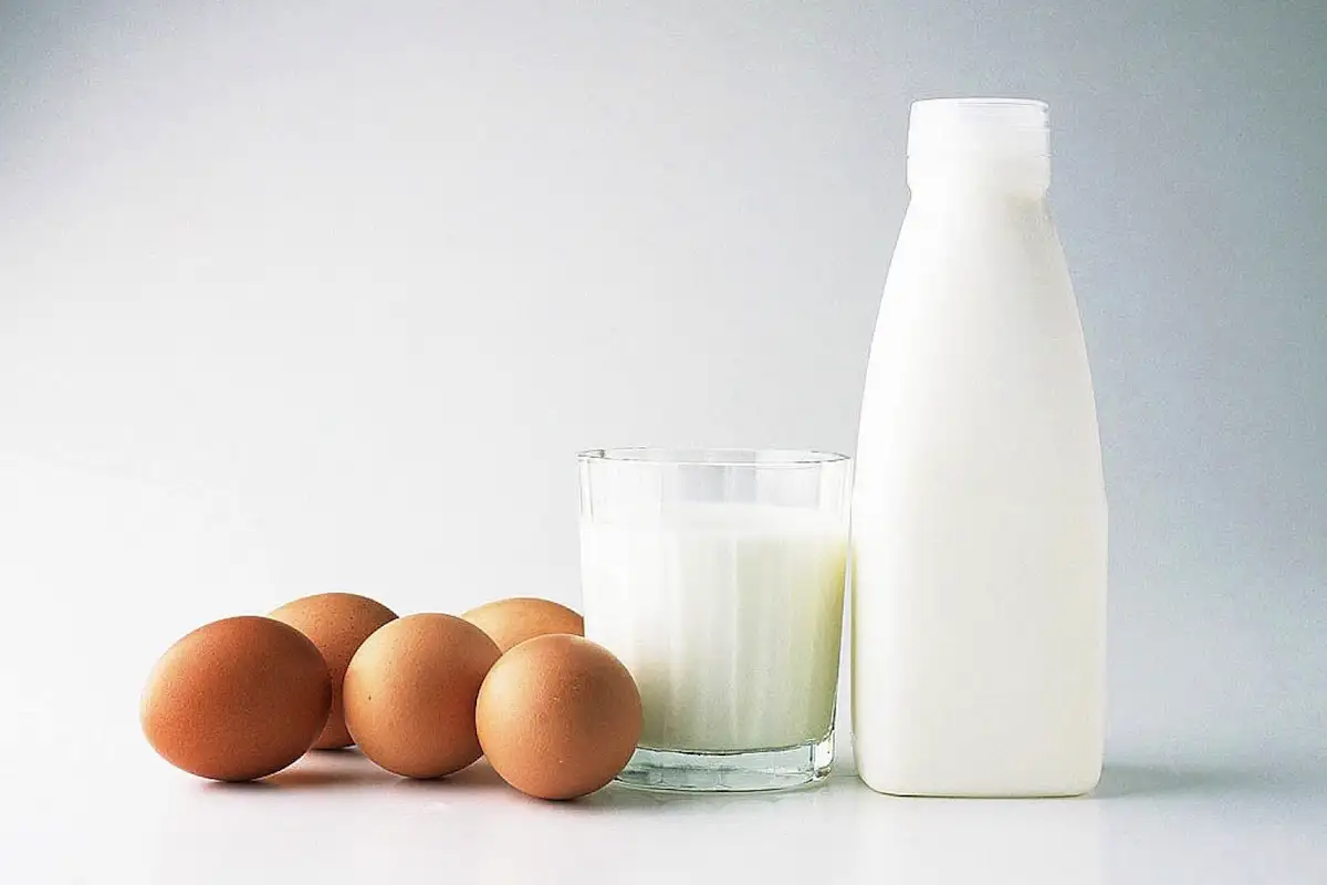 Pehmeät maitokuppikakut: Salaisuus täydellisen kuohkeaan lopputulokseen