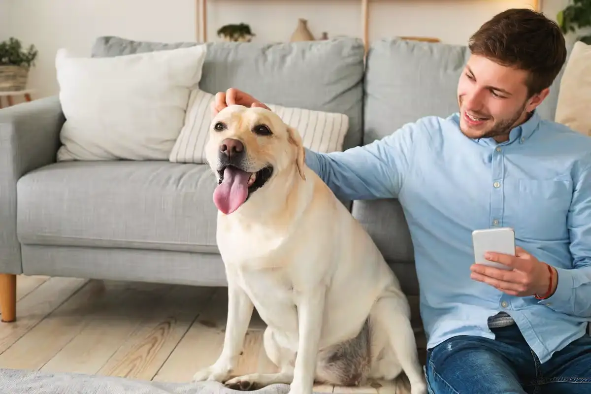 Miten tulkita, kun koira istuu sinulle selin? Asiantuntijat kertovat totuuden