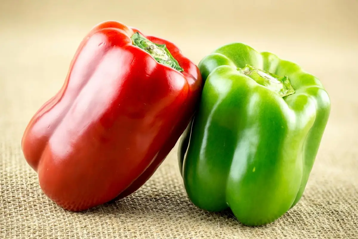 Punainen vai vihreä paprika – kumpi on terveellisempi? Laaja ravintoarvojen vertailu ja kaikki mitä tarvitset tietää